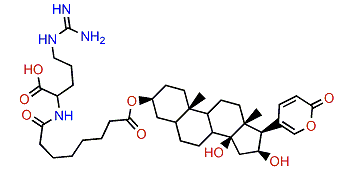 3-(N-Suberoyl argininyl)-hydroxydesacetylbufotalin